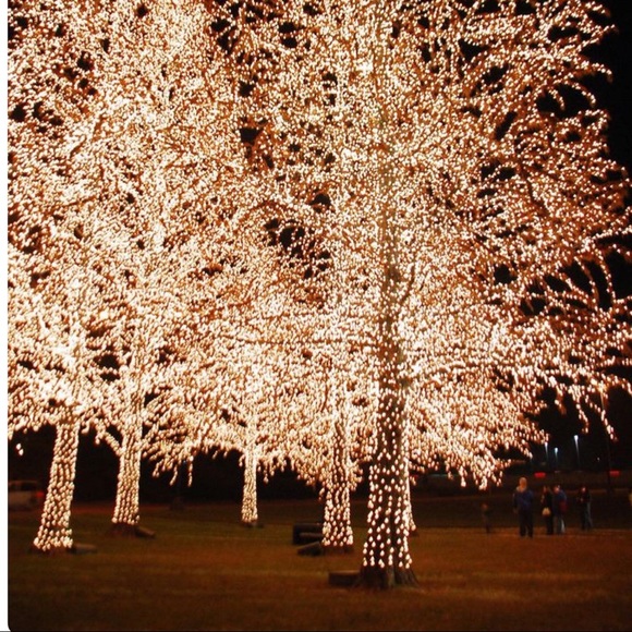 🌙🌑🌜8th Season with Poshmark Warm Wishes🌜🌑🌙 - Picture 8 of 17